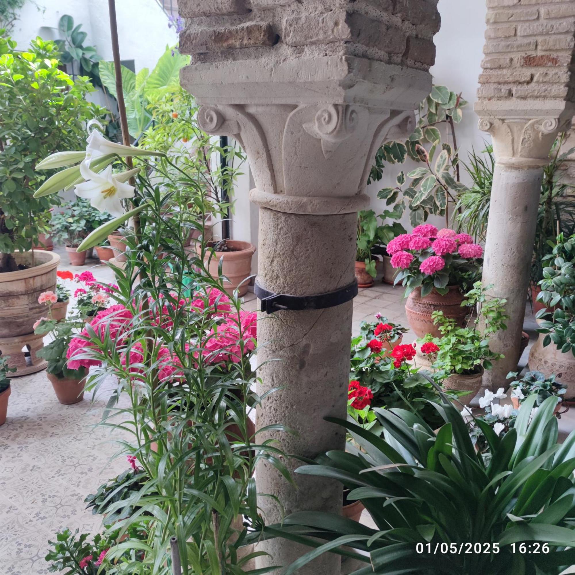 El Patio De Regina Daire Cordoba Dış mekan fotoğraf