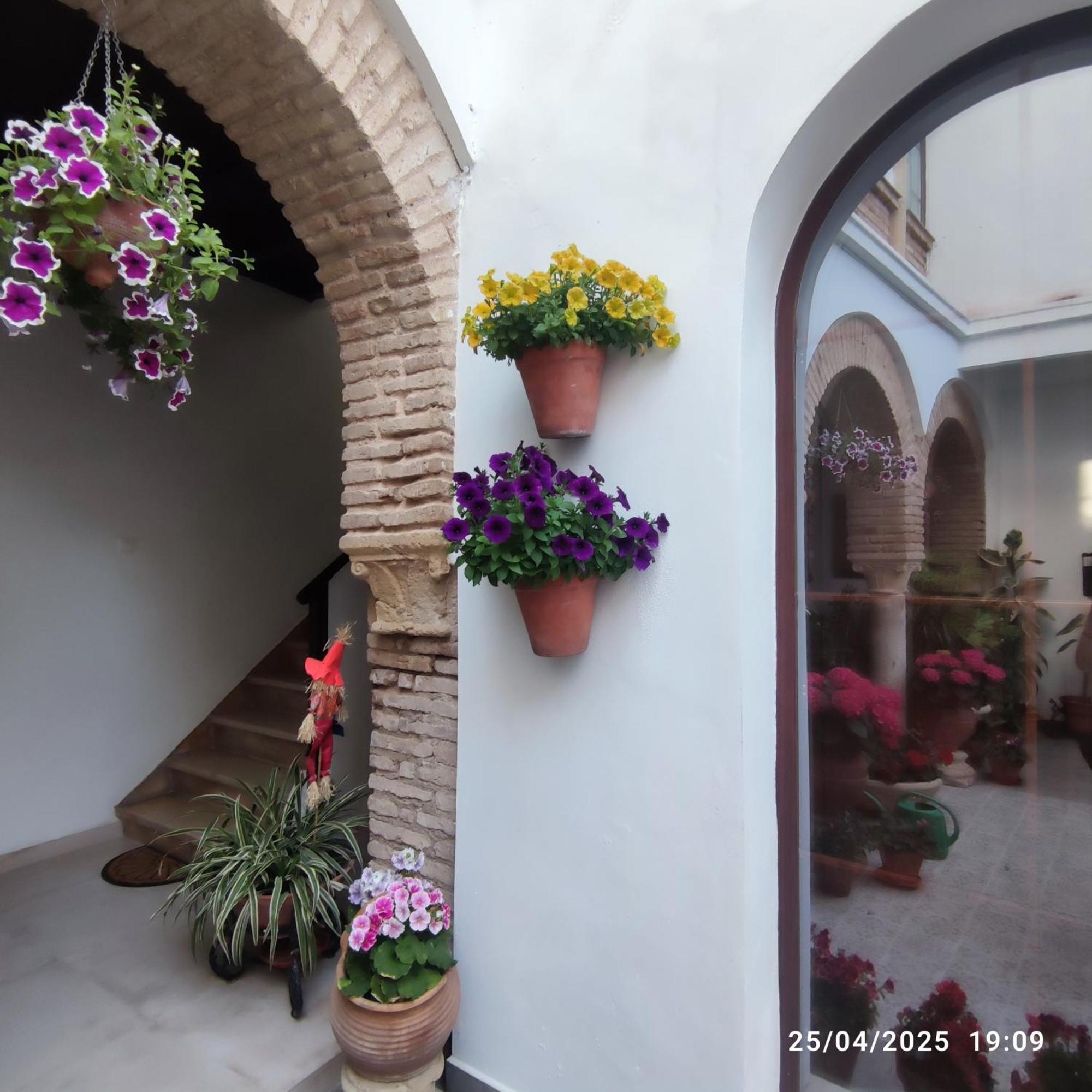 El Patio De Regina Daire Cordoba Dış mekan fotoğraf